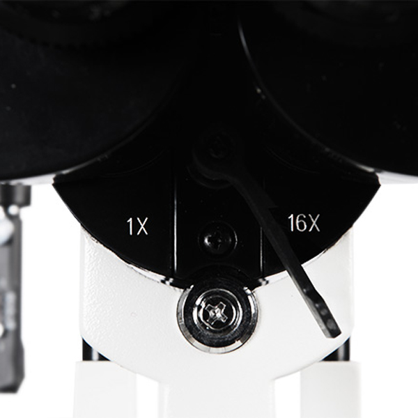 Slit Lamp Microscope ESL-5200 Ezer